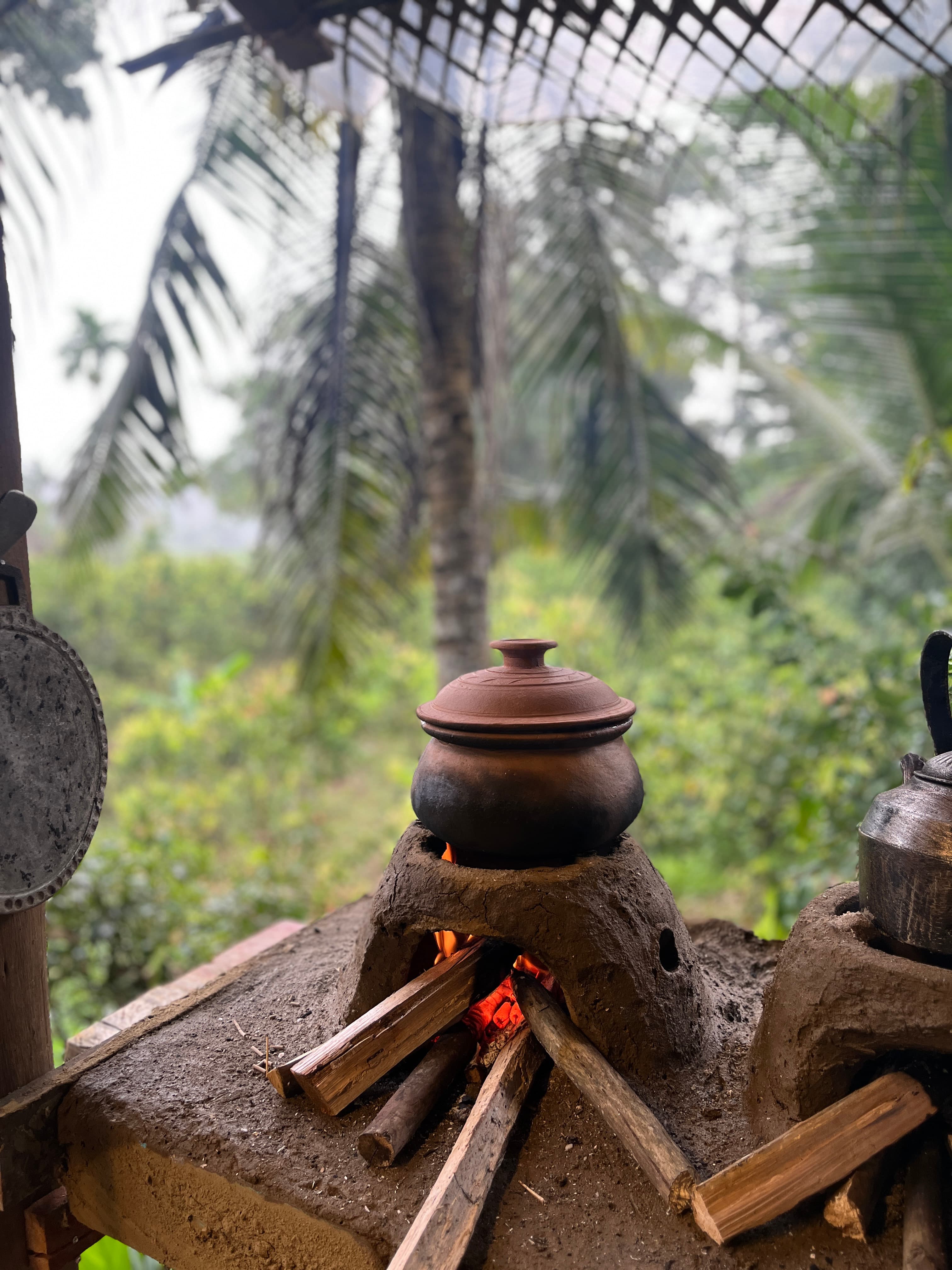 Cooking over the fire