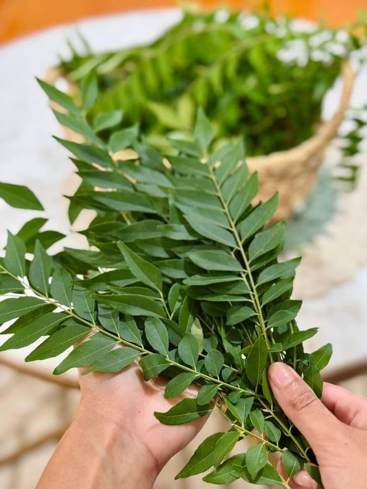 Curry leaves & herbs